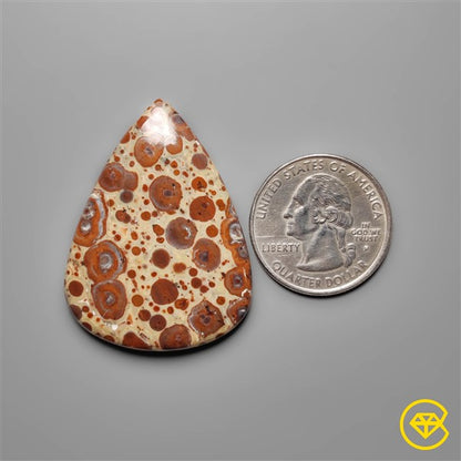 Asteroid Jasper