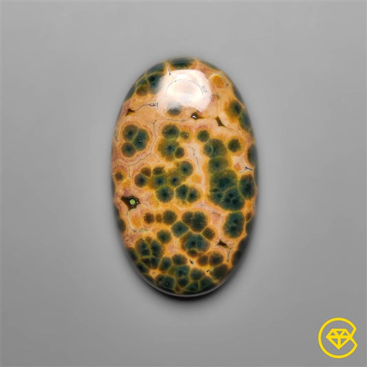 Ocean Jasper