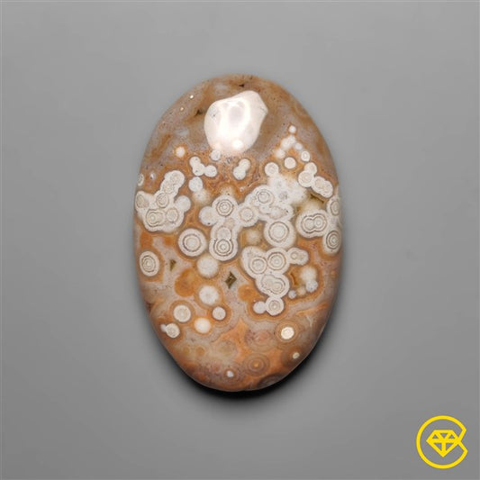 Ocean Jasper