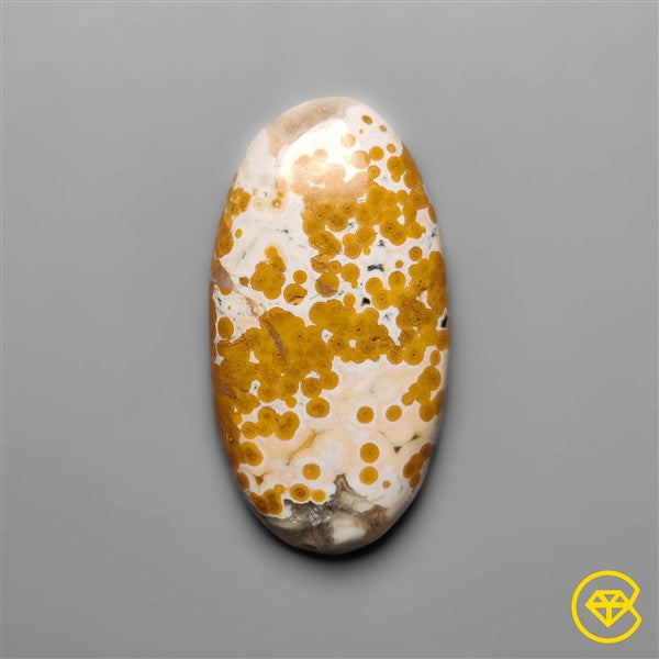 Ocean Jasper