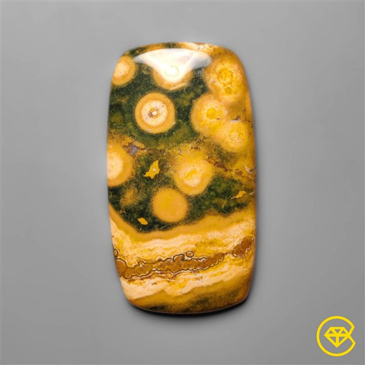 Ocean Jasper