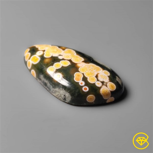 Ocean Jasper