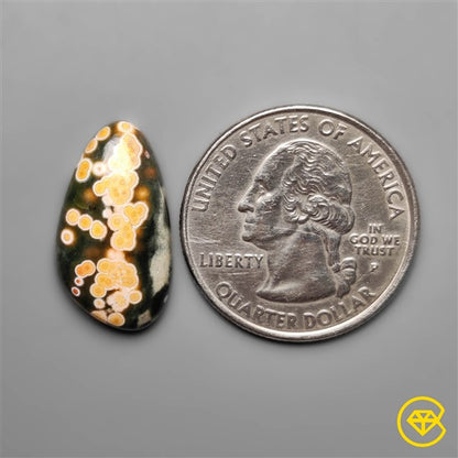 Ocean Jasper