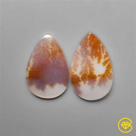 Scenic Agate