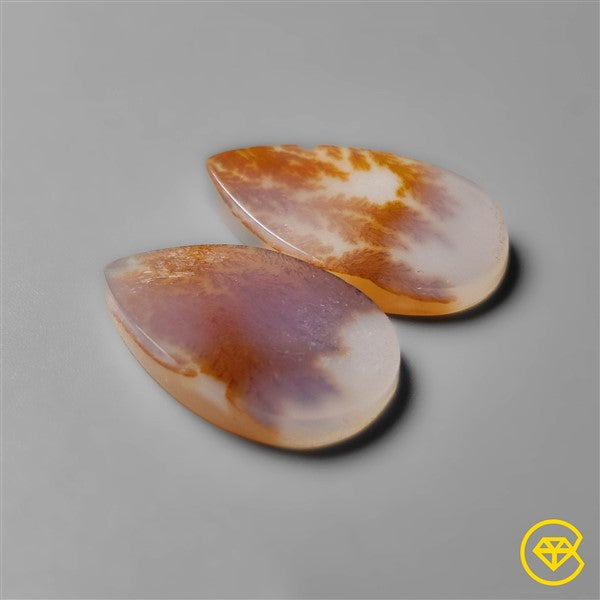 Scenic Agate