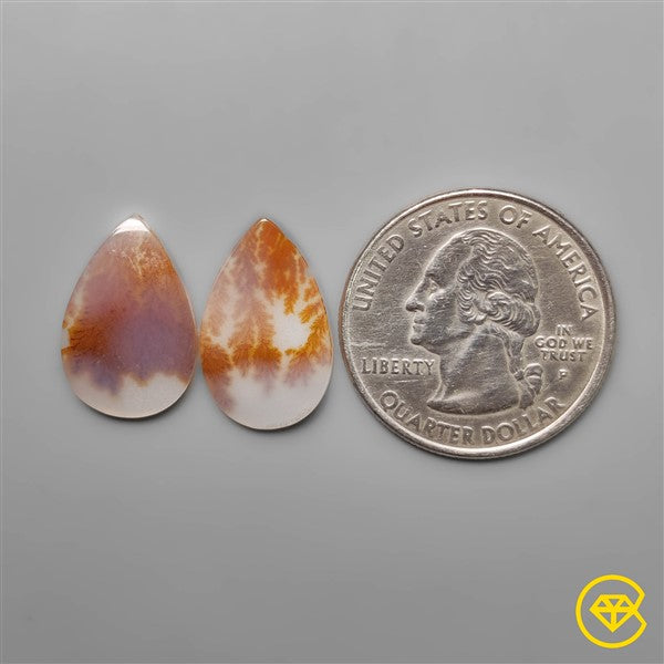 Scenic Agate