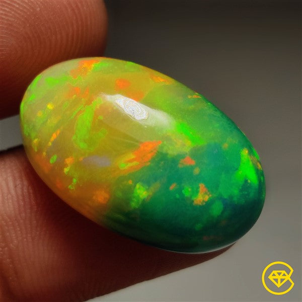 Opal,Black Opal,Treated Opal,Ethiopian Opal