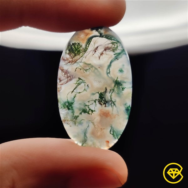 Moss Agate