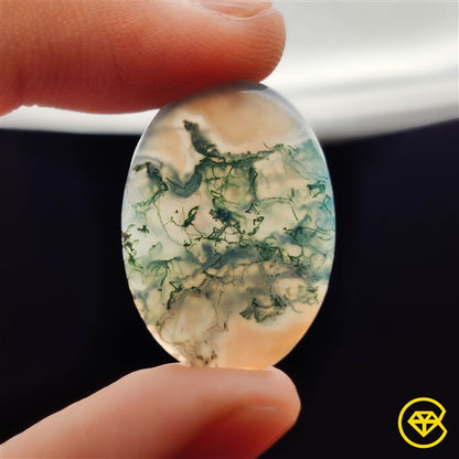 Moss Agate