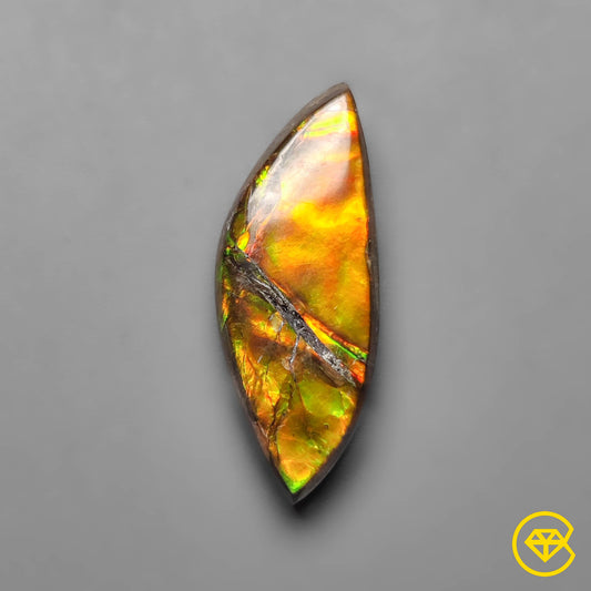 Ammolite