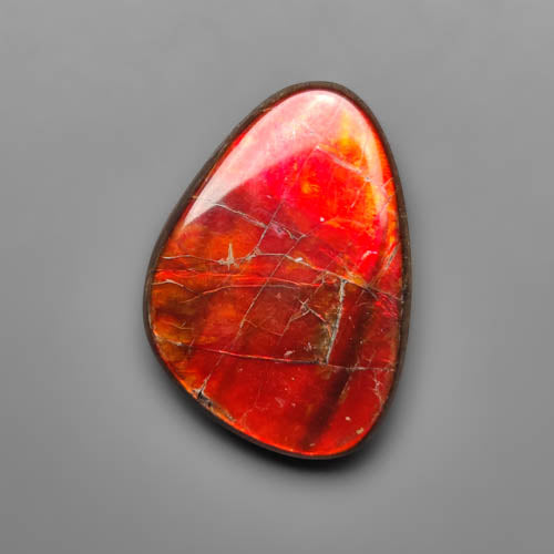 Ammolite