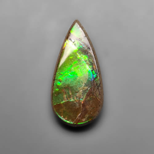 Ammolite