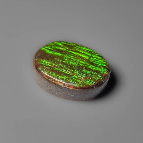 Ammolite