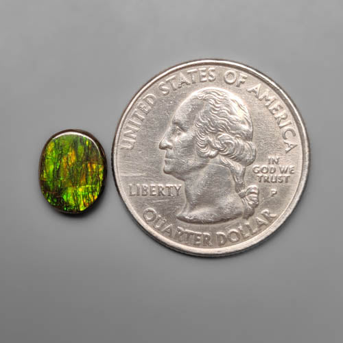 Ammolite