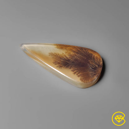 Scenic Agate