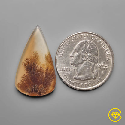 Scenic Agate
