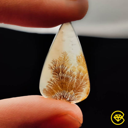 Scenic Agate