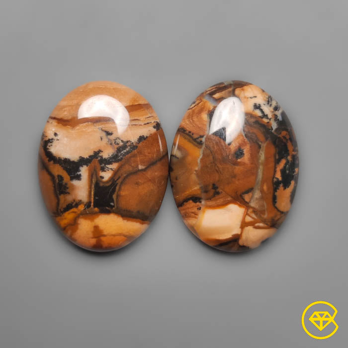 Biggs Jasper