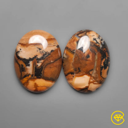 Biggs Jasper