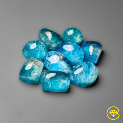 Apatite,Quartz