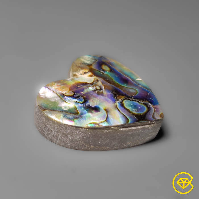 Abalone Shell