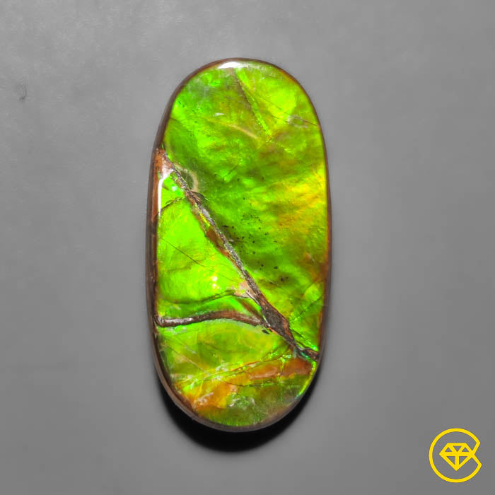 Ammolite