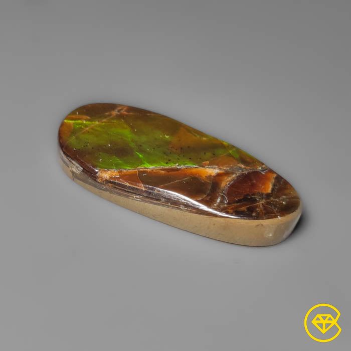 Ammolite