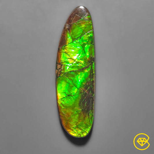 Ammolite