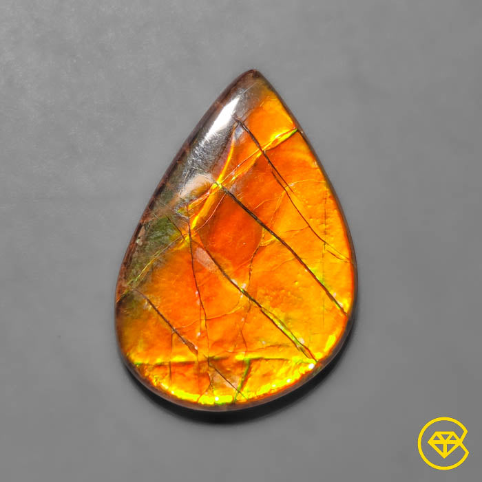 Ammolite