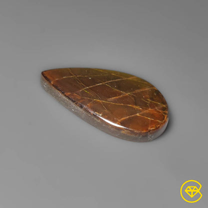 Ammolite