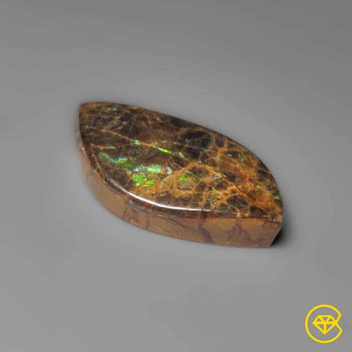 Ammolite