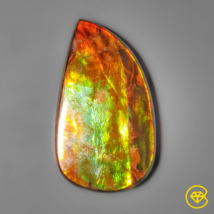 Ammolite