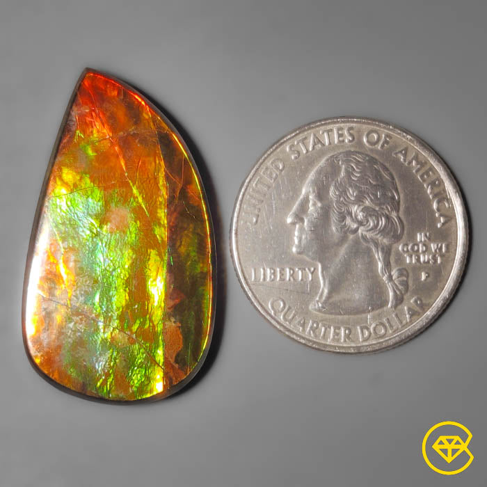 Ammolite