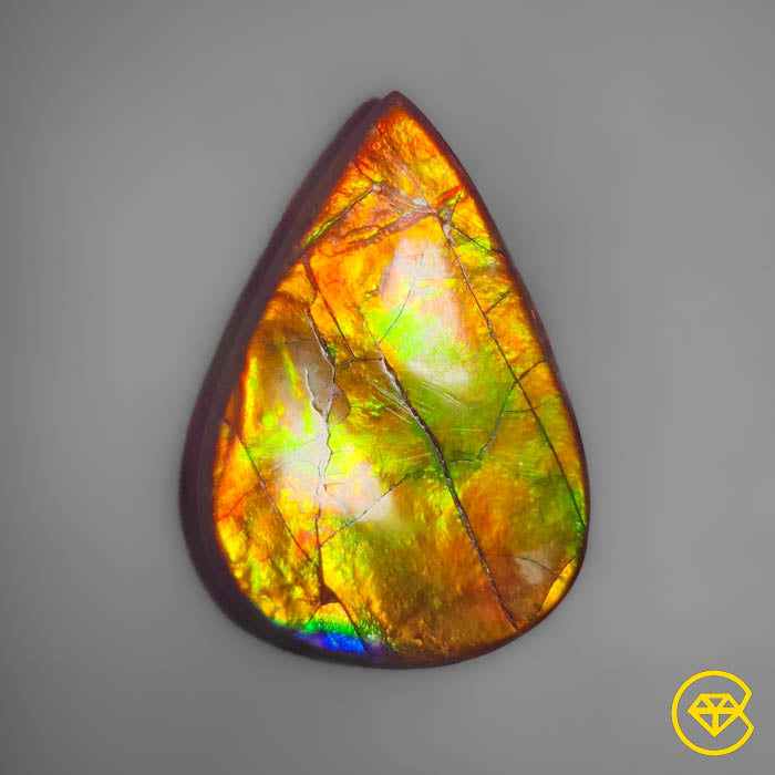 Ammolite