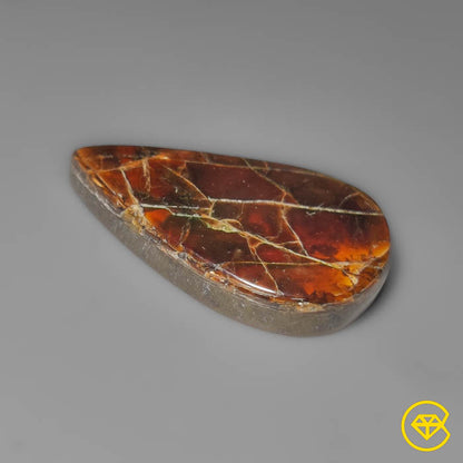 Ammolite