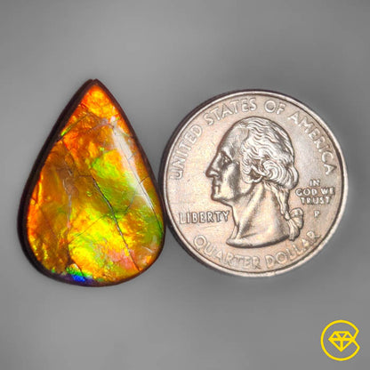 Ammolite