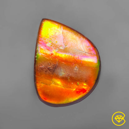 Ammolite