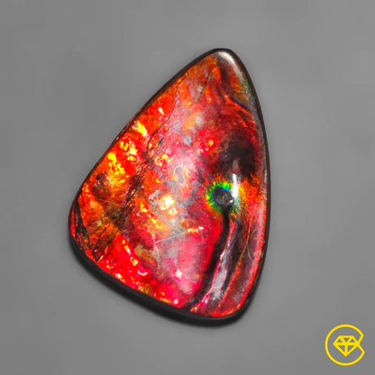 Ammolite