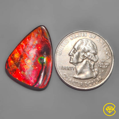 Ammolite