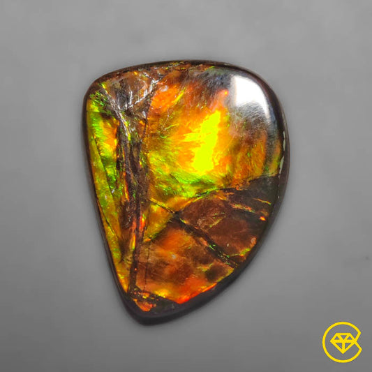 Ammolite