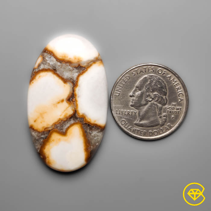 Cobra Jasper