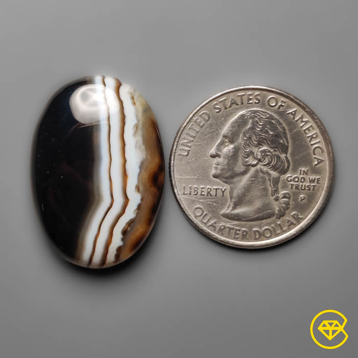 Tuxedo Agate