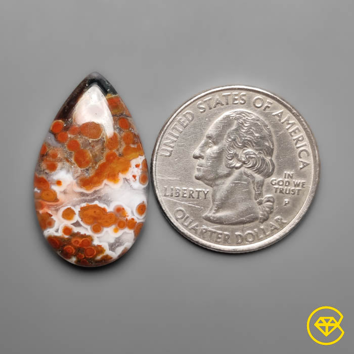 Polka Dot Agate