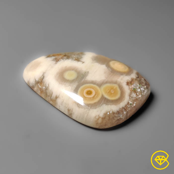 Ocean Jasper