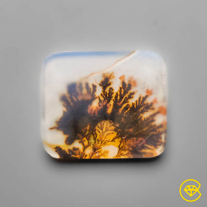 Scenic Agate