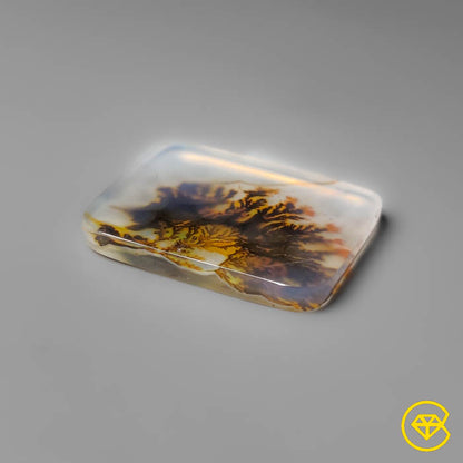 Scenic Agate