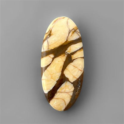 Peanut Wood Jasper|Wood