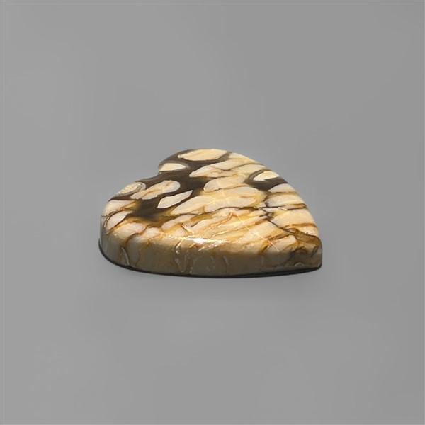 Peanut Wood Jasper|Wood