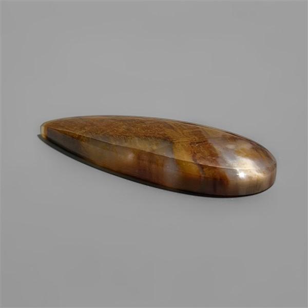 Petrified Wood|Wood