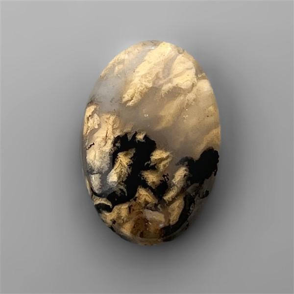 Agate|Dendritic Agate